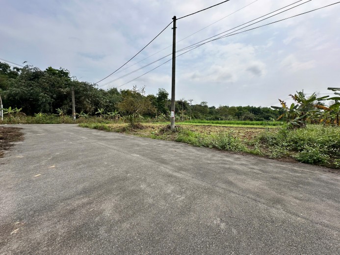 ĐẤT NỀN YÊN BÀI – BA VÌ | FULL THỔ CƯ – HẠ TẦNG ĐỒNG BỘ, LÔ GÓC VỊ TRÍ THÔNG THOÁNG